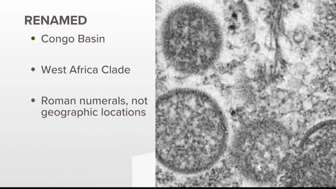 WHO looking to rename monkeypox | Here's why