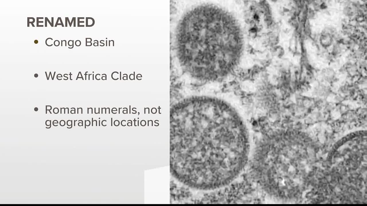 WHO looking to rename monkeypox | Here's why
