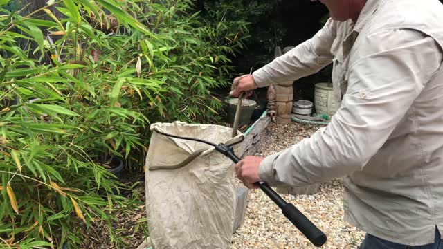 Snake Catchers Adelaide Capture Brown Snake