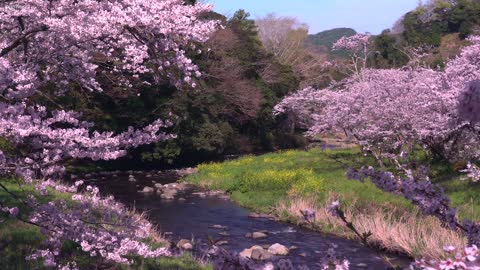 NATURE SMOOTH RELAXATION