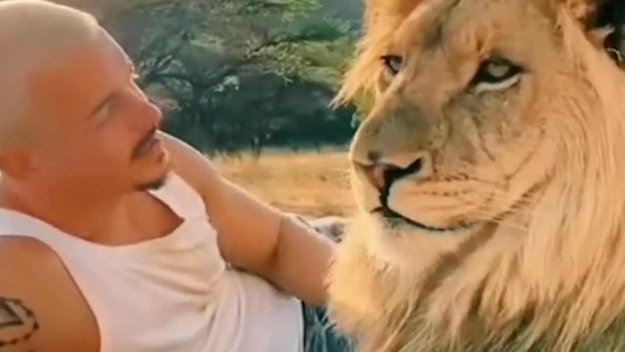 Lion is very good animals