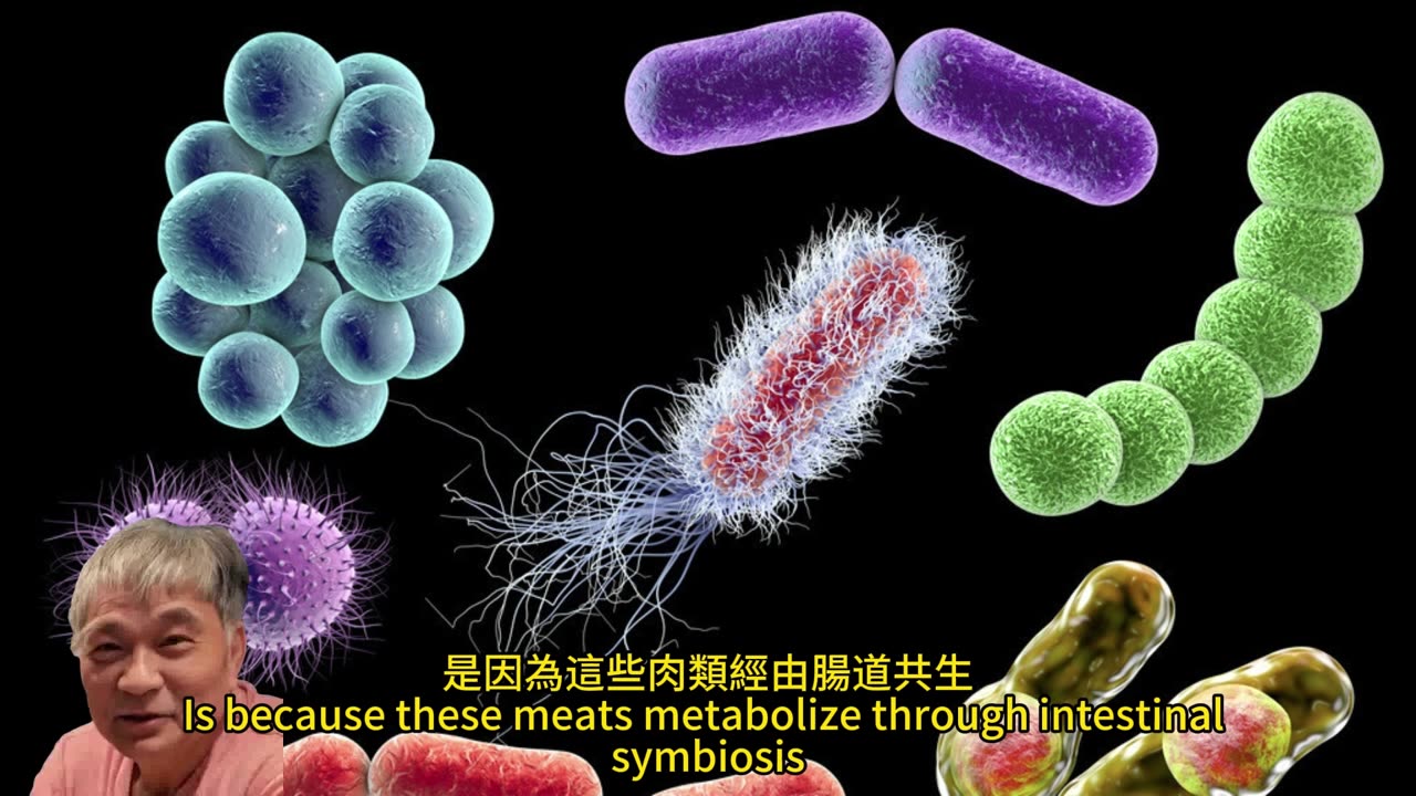大腦返老還童 2關鍵妙招促進