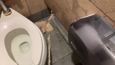 toilet stall urination