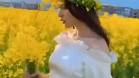 Aesthetic nature mind relaxing video
