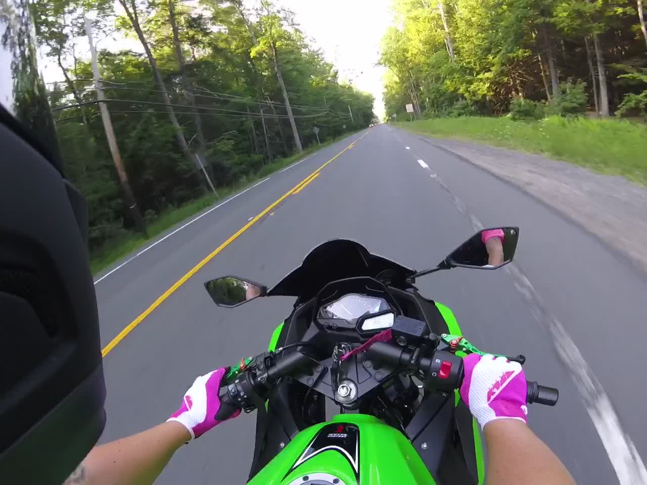 Motorcyclist Barely Avoids Bear