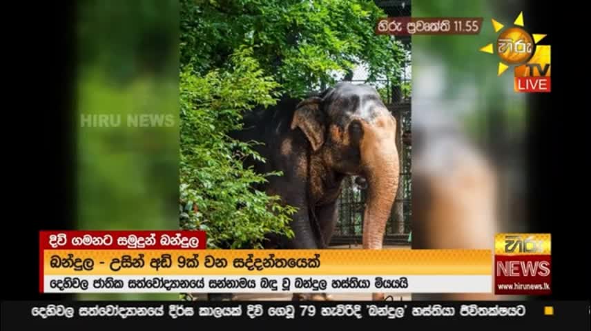 සලකුණක් තබා - දෙහිවලින් සමු ගත් බන්දුල - Hiru News