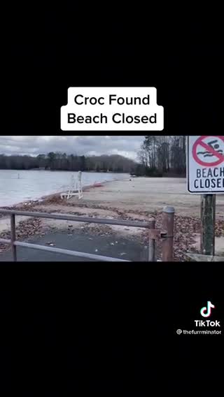 crocodile fested beach closed