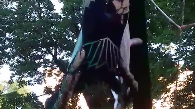 Spider Oxana