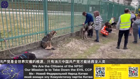 3月26日 拯救流浪狗 NFSC&RLF Ukraine Rescue 回顾新中国联邦和法制基金乌克兰救援 CCP≠CHINESE CCP≠CHINA Take Down the CCP GETTR