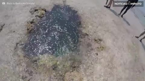 Mergulho em buraco acaba em gruta de corais