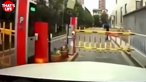 Women driver fails, viral funny