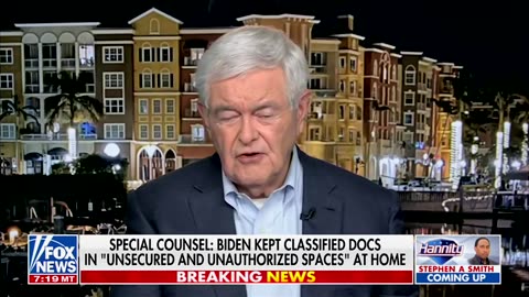 Gingrich Details What Congress Must 'Insist' From Biden To Preserve 'Survival' Of US