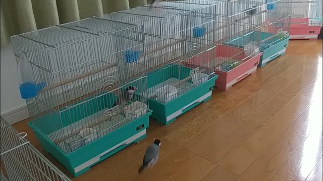 様子見なのか？