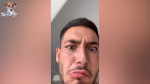 Pets That Will 100 Cure Your Mood