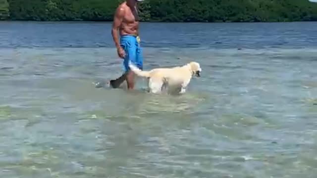A dog in the MIDDLE OF THE OCEAN!!