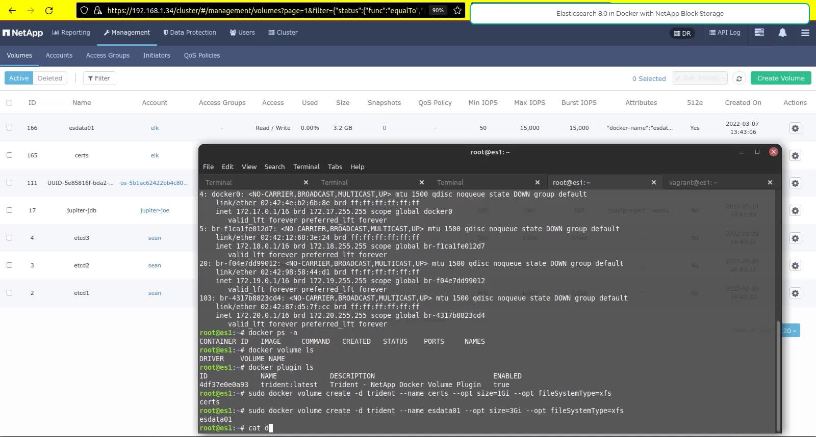 Elasticsearch 8 in Docker containers with NetApp block storage