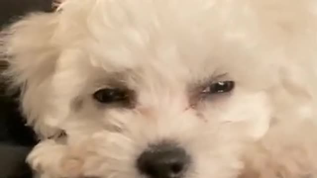 7.Everyone always says when you snooze you lose…😬