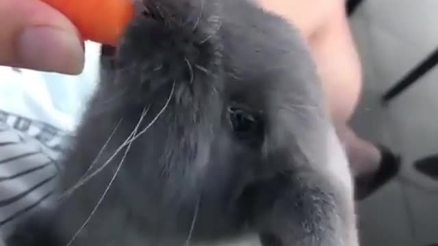When carrots are delicious. Wow!! ππΌπ₯