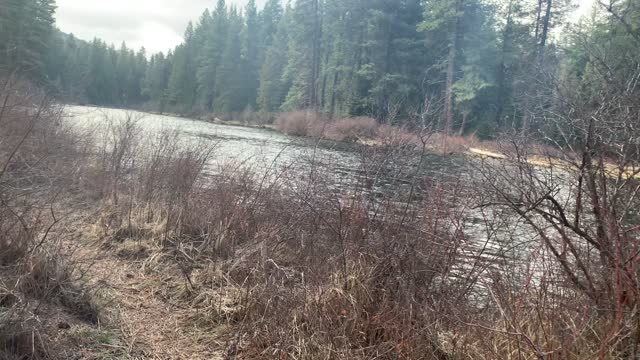 Hiking to East Shoreline of Metolius River – Central Oregon – 4K