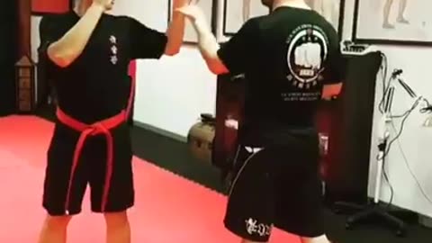 Kuk Sool Kwan Hapkido