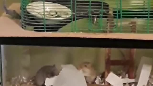 Come on baby