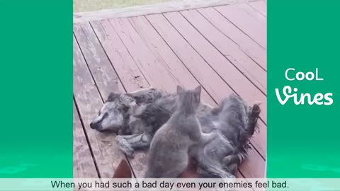 Do not laugh