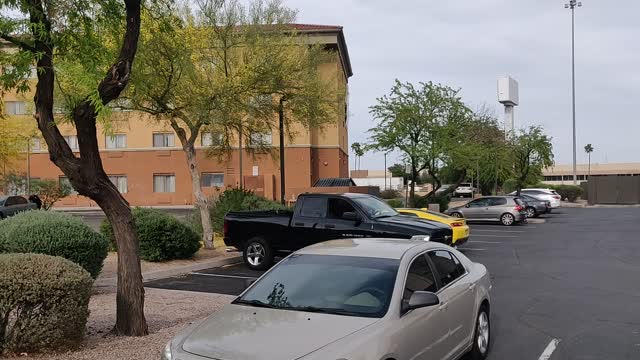 Illegal Alien Suites