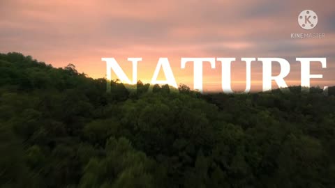 Natur video