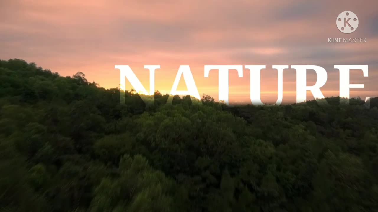 Natur video