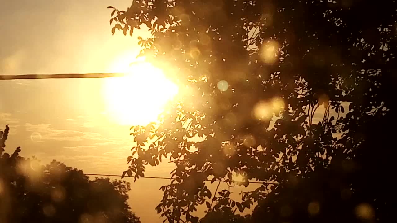 The morning light