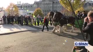 WATCH: The Christmas Tree has arrived at the White House