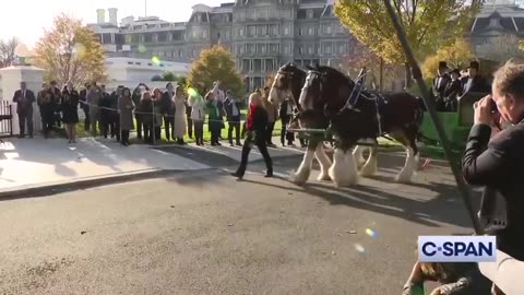 WATCH: The Christmas Tree has arrived at the White House