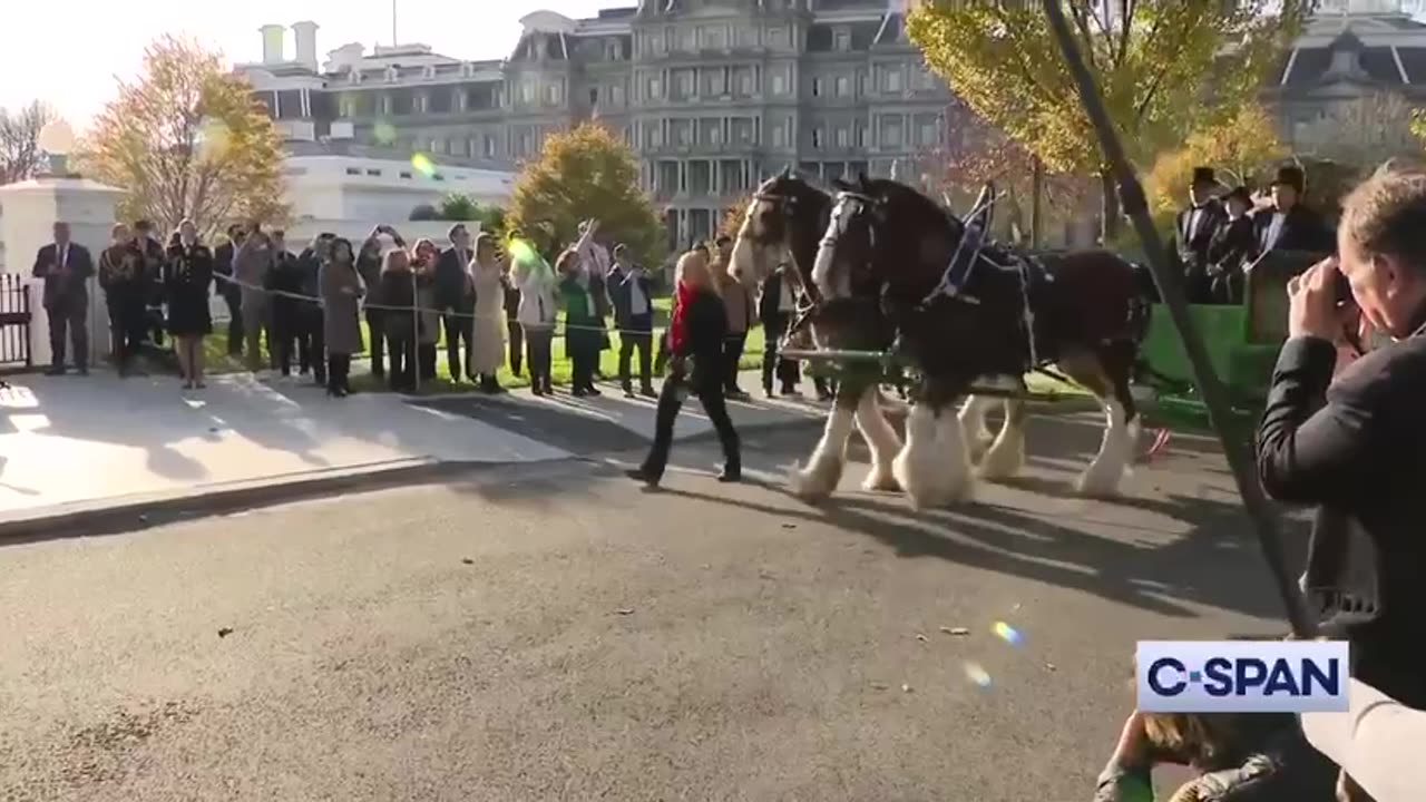 WATCH: The Christmas Tree has arrived at the White House