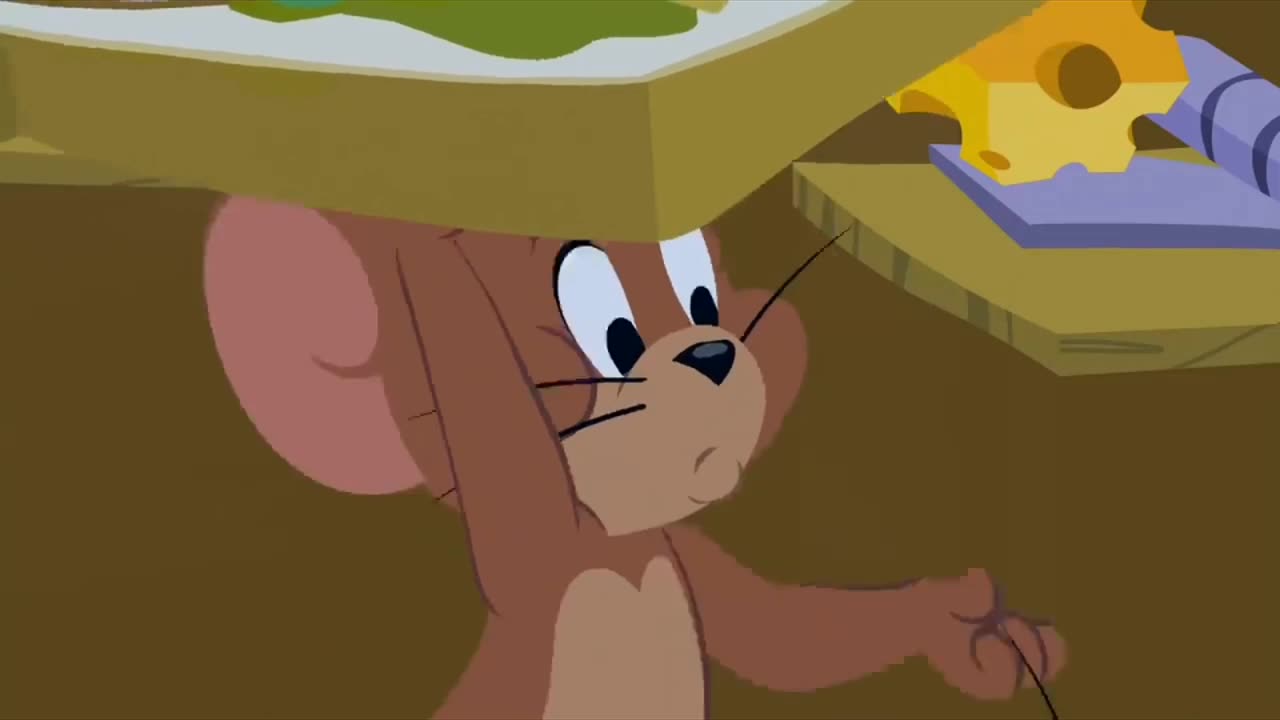 Tom and jerry cartoon