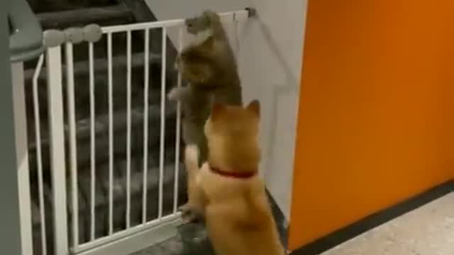 "Stop it, you'll get us in trouble!"