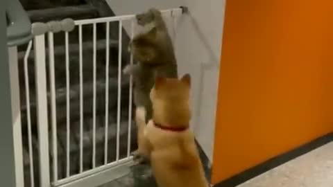 "Stop it, you'll get us in trouble!"