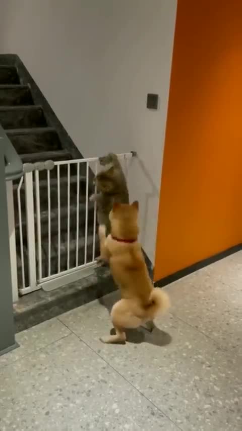 "Stop it, you'll get us in trouble!"