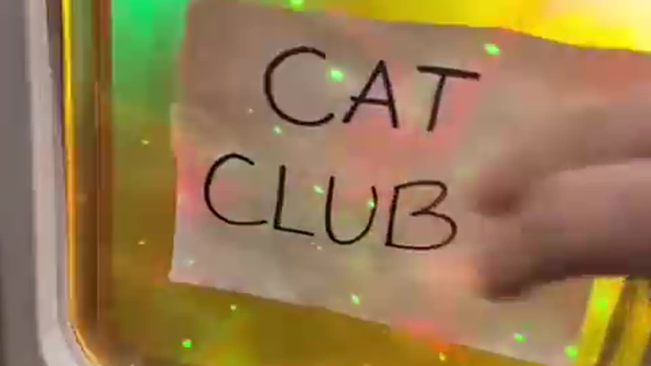 Cat Club! #shorts30 #viral #catclub #cat #videos #shorts #dog