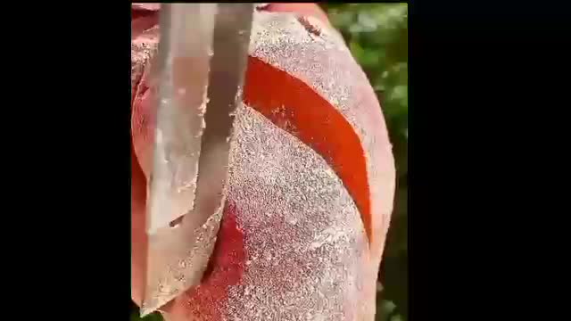 Fruit cutting video