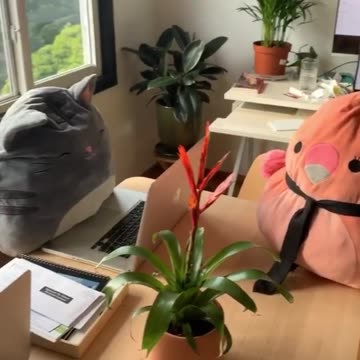 Virtual Meetings: Making the Most of Remote Collaboration