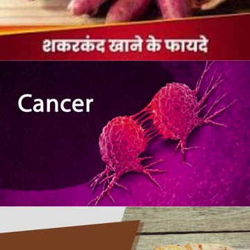 उबली शकरकंदी खाने के फायदे