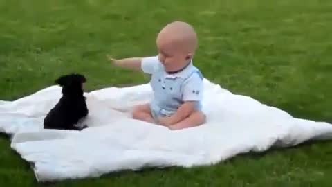 Baby with cat