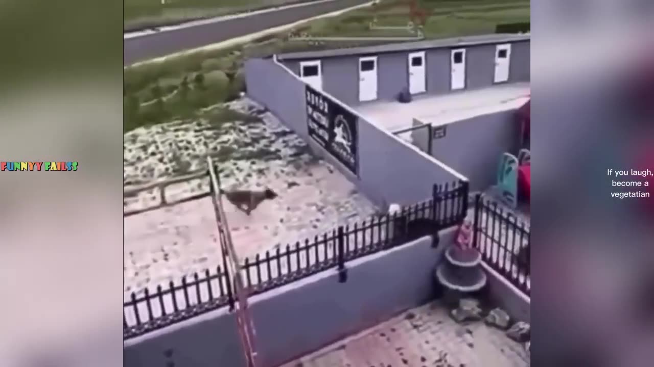 Try not to laugh 🤣 most expensive funny video 😂🤣 #fun