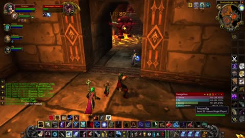 World of Warcraft Classic Hunter Leveling part 25