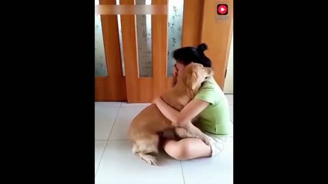 BRAVE AND ADORABLE DOGS TRYING TO SAVE THEIR OWNER- FUR HERO