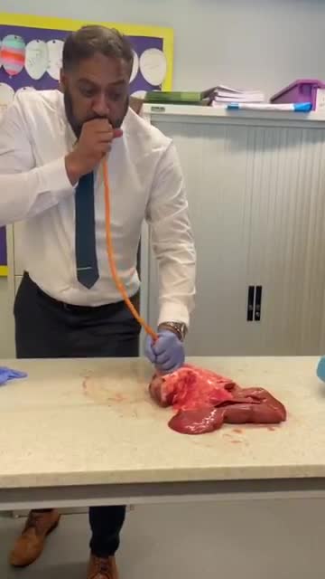 teacher blows into lungs for science experiment #shorts