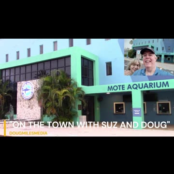 SUZ AND DOUG VISIT MOTE MARINE AQUARIUM!