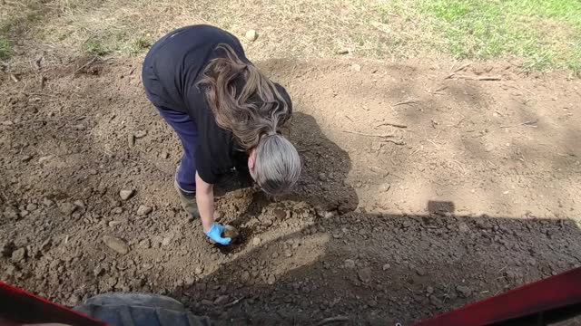 Planting Pumpkins - 010