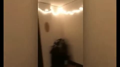 Ghost Sightings Caught On Camera