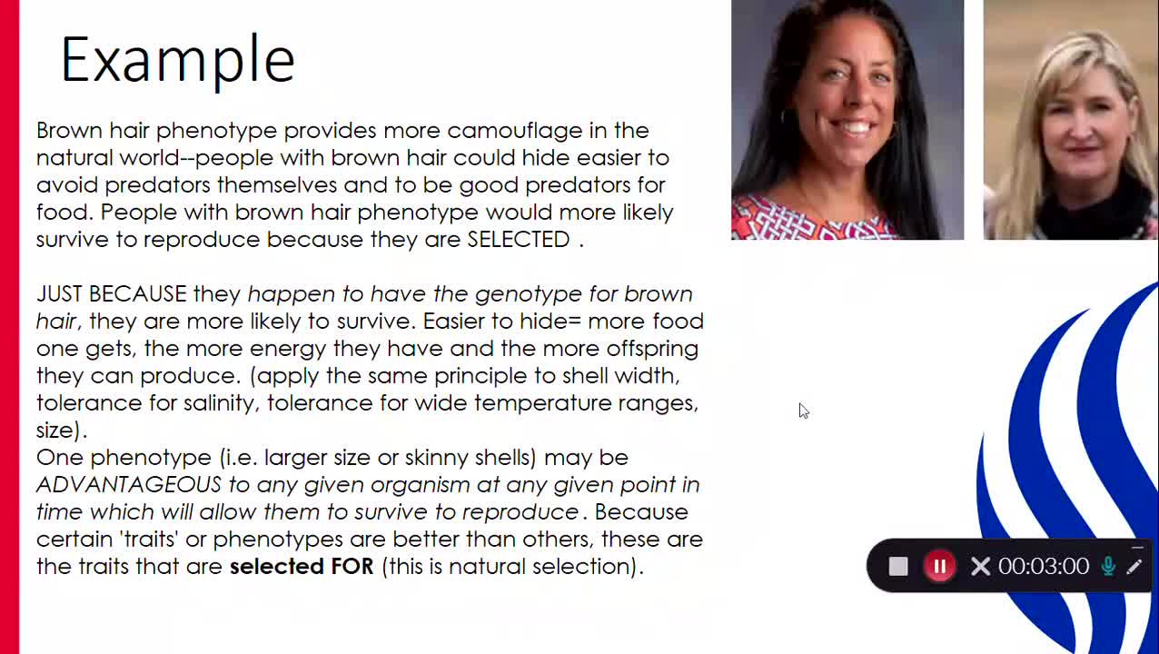 Evolution: Population Genetics